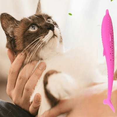 Jouet Interactif Chat - CatnipToys™ - Rose - Le Monde Des Chats Mignons