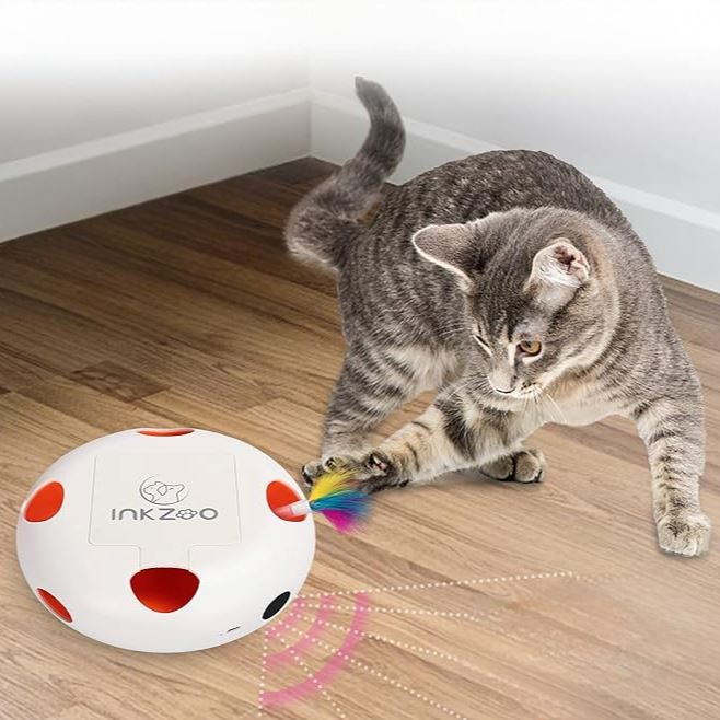 Jeux Chat - PlumeMagique™ - Blanc - Le Monde Des Chats Mignons