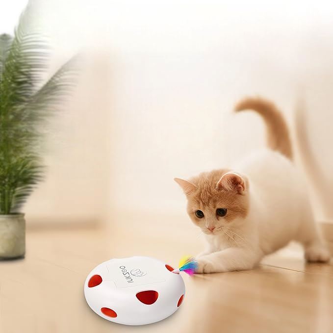 Jeux Chat - PlumeMagique™ - Blanc - Le Monde Des Chats Mignons