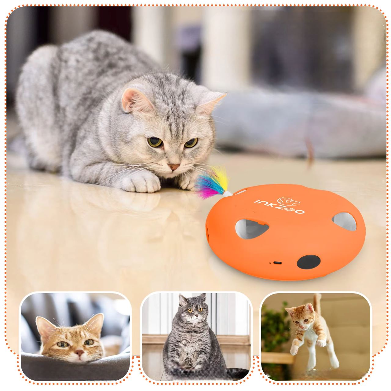 Jeux Chat - PlumeMagique™ - Orange - Le Monde Des Chats Mignons