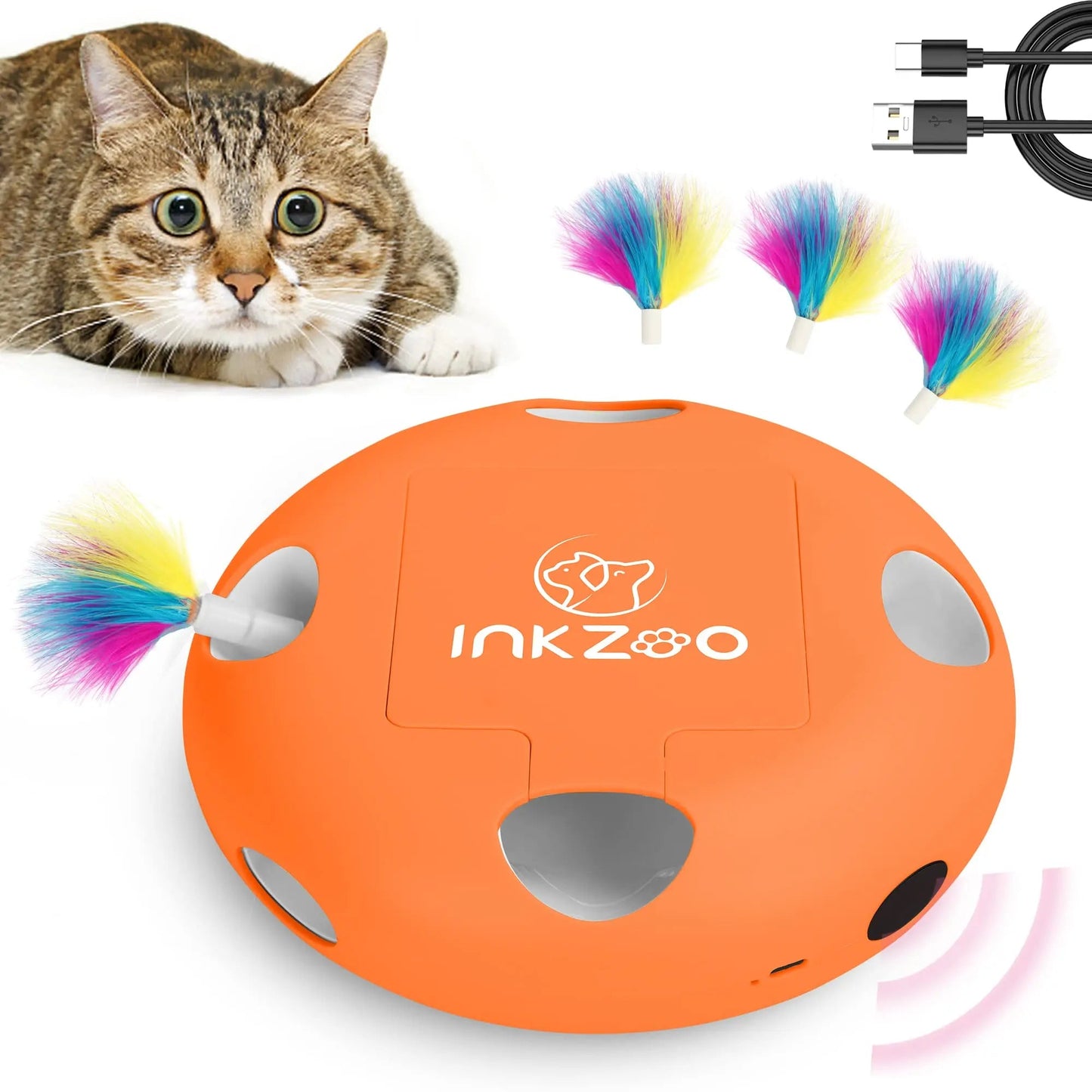 Jeux Chat - PlumeMagique™ - Orange - Le Monde Des Chats Mignons