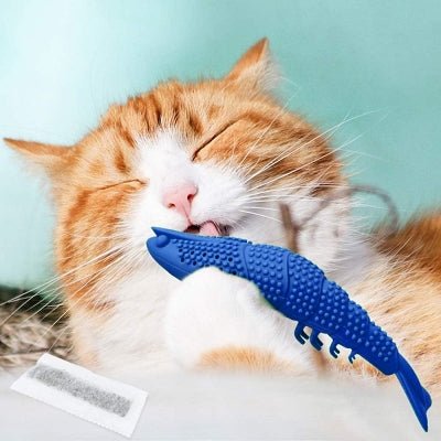 Jouet Interactif Chat - CatnipToys™ - Bleu - Le Monde Des Chats Mignons