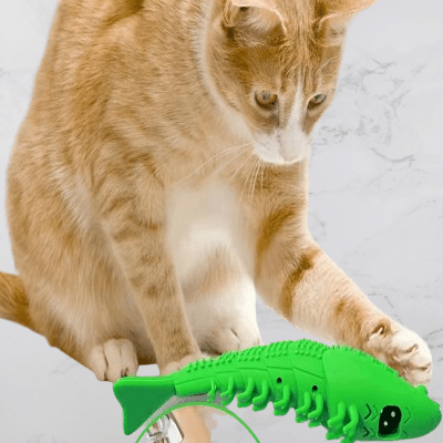 Jouet Interactif Chat - CatnipToys™ - Vert - Le Monde Des Chats Mignons