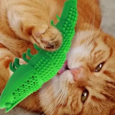 Jouet Interactif Chat - CatnipToys™ - Vert - Le Monde Des Chats Mignons