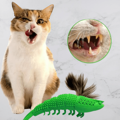 Jouet Interactif Chat - CatnipToys™ - Vert - Le Monde Des Chats Mignons