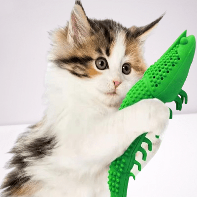 Jouet Interactif Chat - CatnipToys™ - Vert - Le Monde Des Chats Mignons