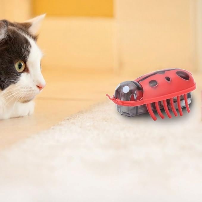 Jouet pour Chat - MiniInsecteToy™ - Coccinelles - Le Monde Des Chats Mignons