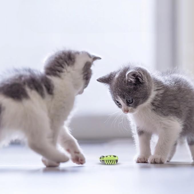 Jouet pour Chat - MiniInsecteToy™ - Coccinelles Vertes - Le Monde Des Chats Mignons