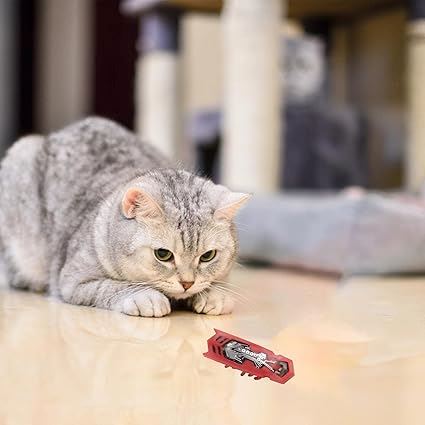 Jouet pour Chat - MiniInsecteToy™ - Scarabée Rouge - Le Monde Des Chats Mignons