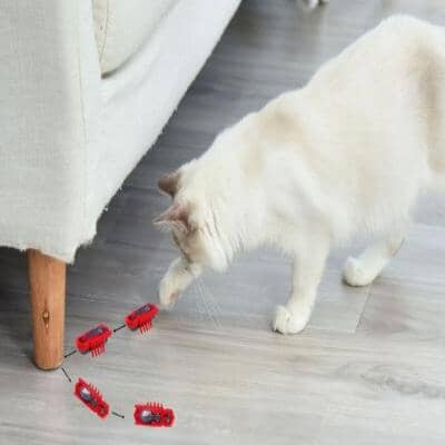 Jouet pour Chat - MiniInsecteToy™ - Scarabée Rouge - Le Monde Des Chats Mignons